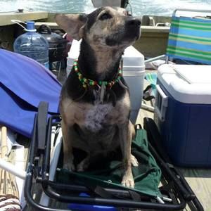 Meet your Posher, Haley